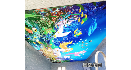 仙桃內蒙張拉膜